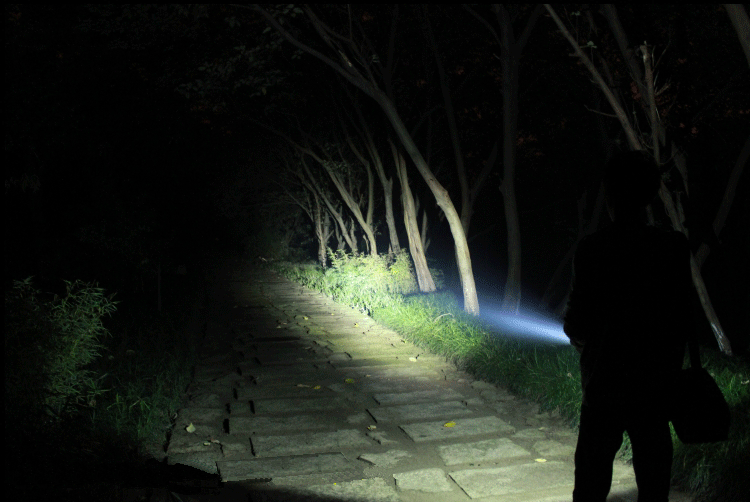 Torcia Tattica: La Guida Completa all’Acquisto della Torcia Migliore